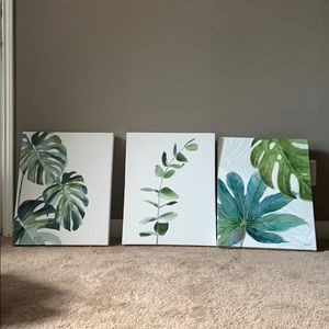BRAND new Canvas paintings